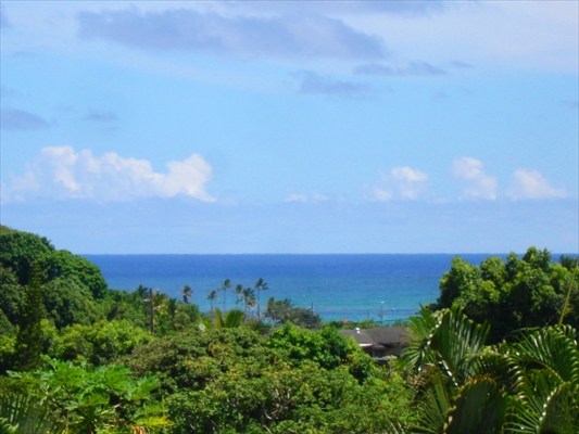 4841 Ohu Road Kapaa, HI 96746 - Photo 4 of 20