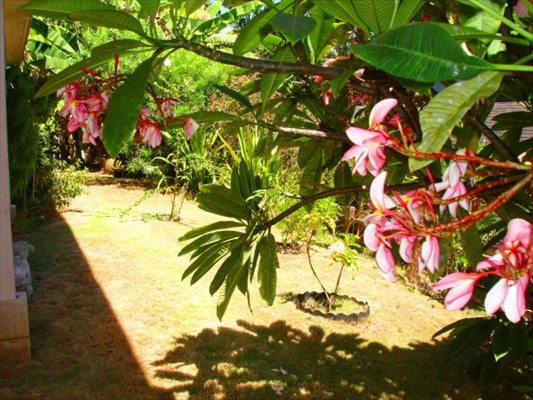 4841 Ohu Road Kapaa, HI 96746 - Photo 5 of 20