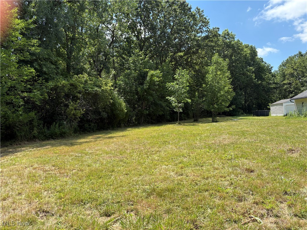 36923 Sugar Ridge Road North Ridgeville, OH 44039 - Photo 1 of 8 View of .54 acre lot
