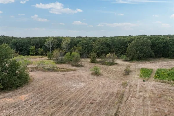 a view of a dry yard with trees