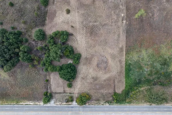 a view of a plant in front of a door