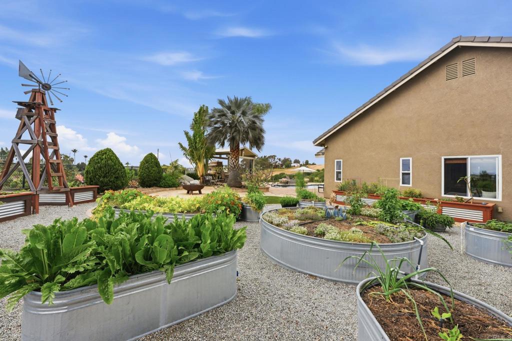 1655 Colina Vista Fallbrook, CA 92028 - Photo 44 of 63 a view of a backyard with plants and a patio