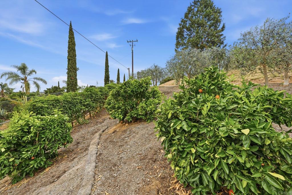 1655 Colina Vista Fallbrook, CA 92028 - Photo 45 of 63 a view of a pathway in outside of the house
