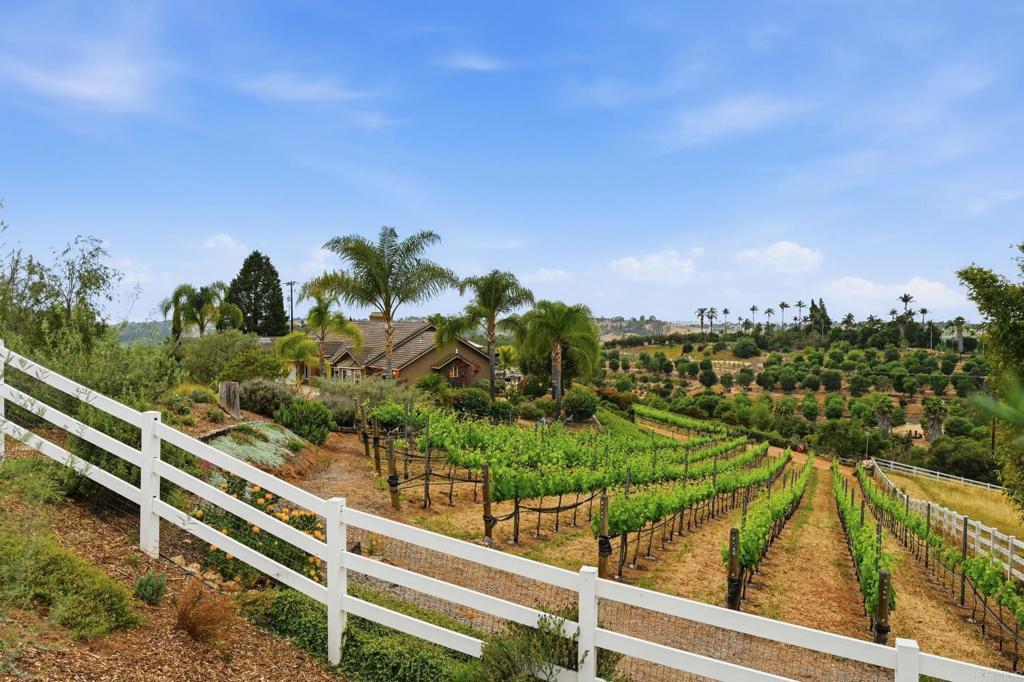 1655 Colina Vista Fallbrook, CA 92028 - Photo 46 of 63