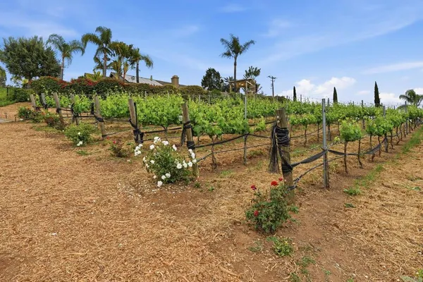 $1,398,747 | 1655 Colina Vista, Fallbrook, CA 92028