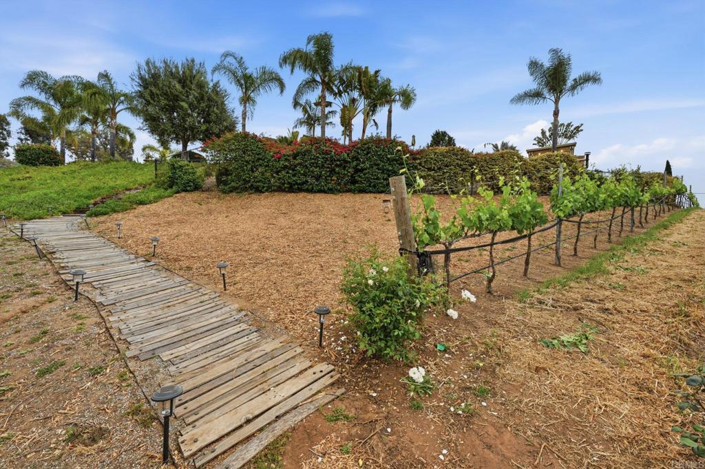 1655 Colina Vista Fallbrook, CA 92028 - Photo 51 of 63