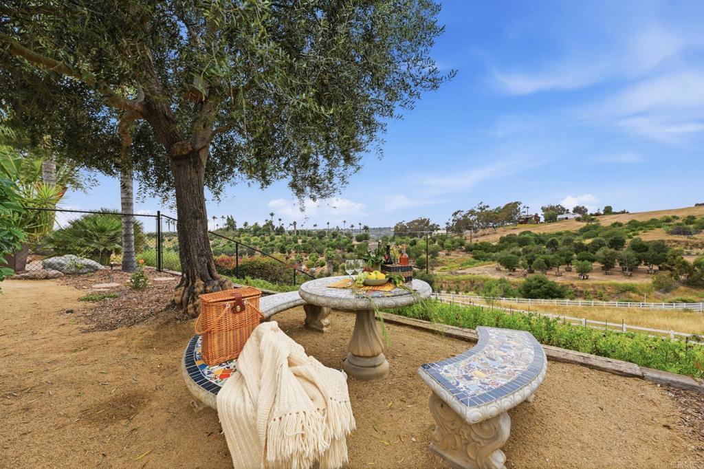 1655 Colina Vista Fallbrook, CA 92028 - Photo 52 of 63