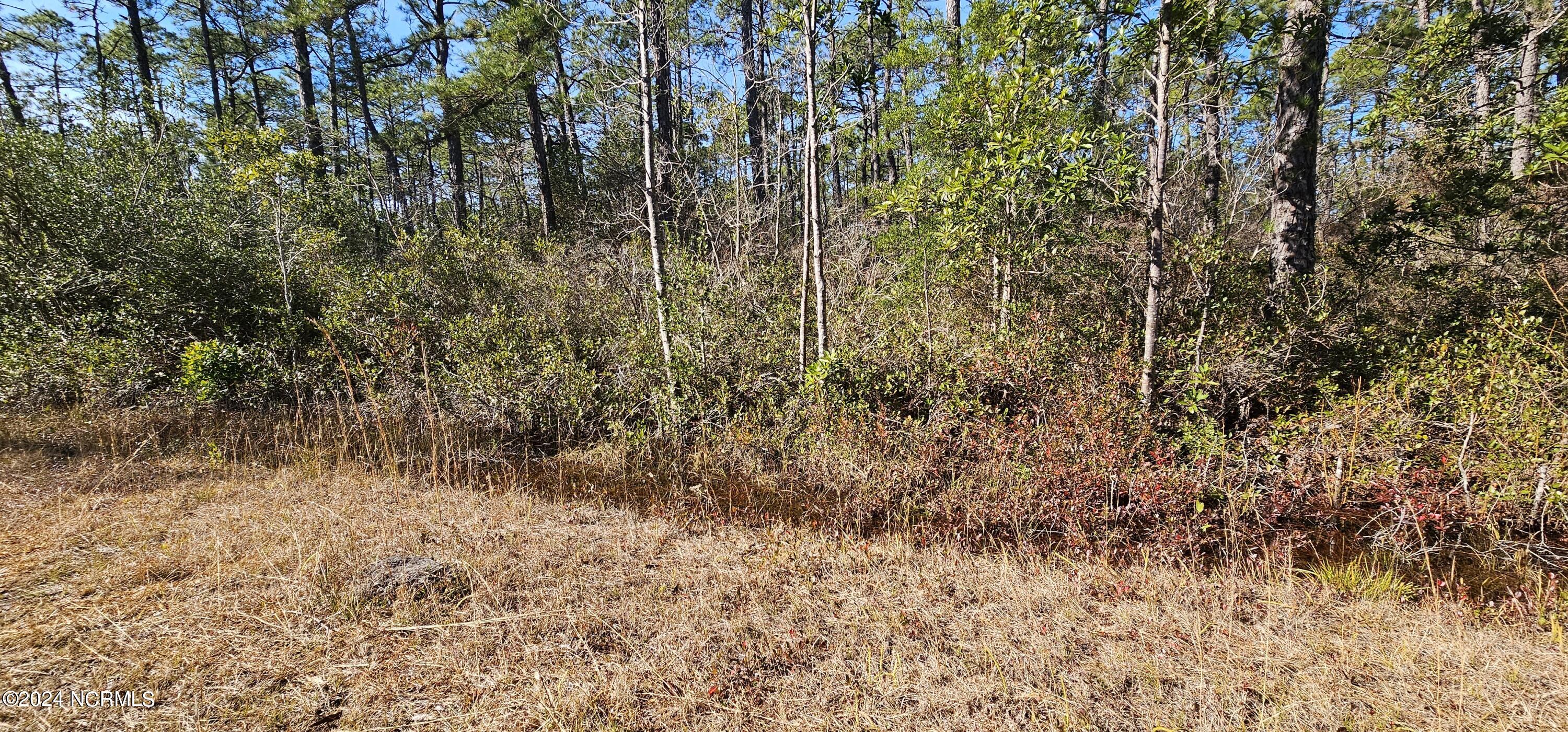 Lot 47-48 2nd Road Southport, NC 28461 - Photo 6 of 7 20240105_123528