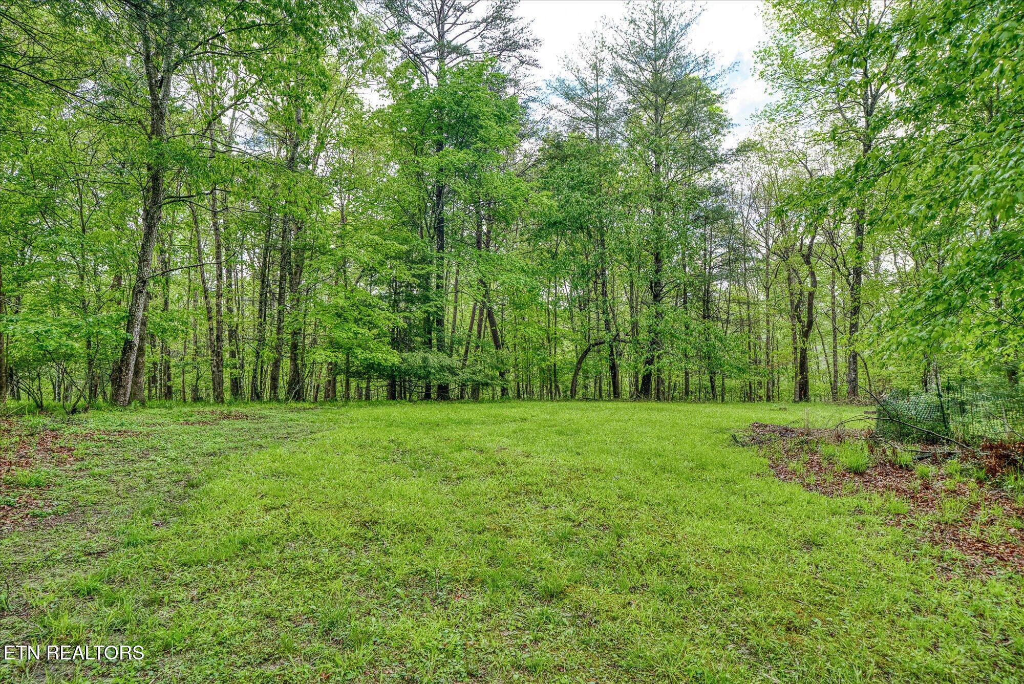 1008 Meridian Road Crossville, TN 38555 - Photo 51 of 60 19-1008 Meridian Rd_135_TNPC