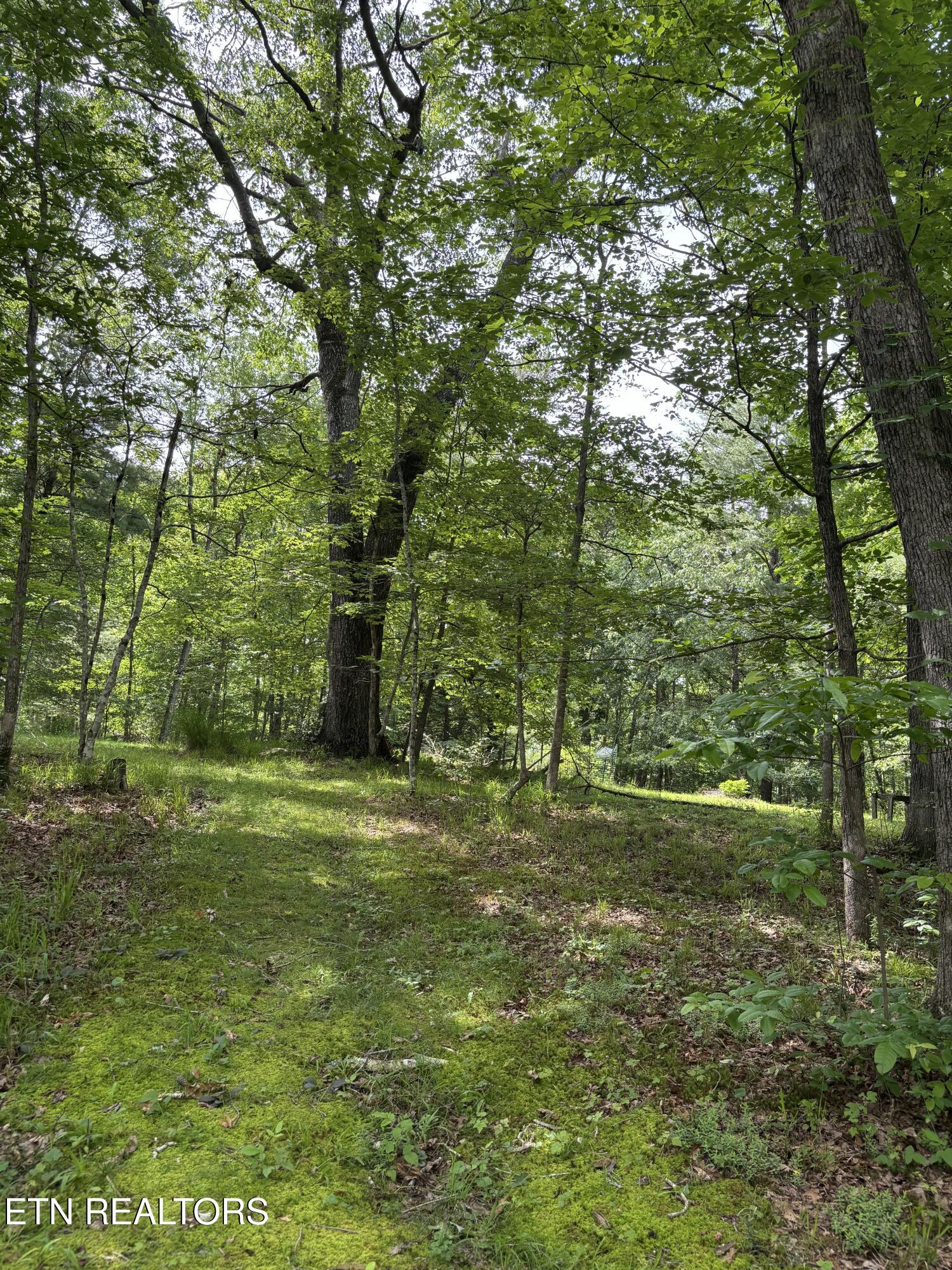 1008 Meridian Road Crossville, TN 38555 - Photo 53 of 60 IMG_4813