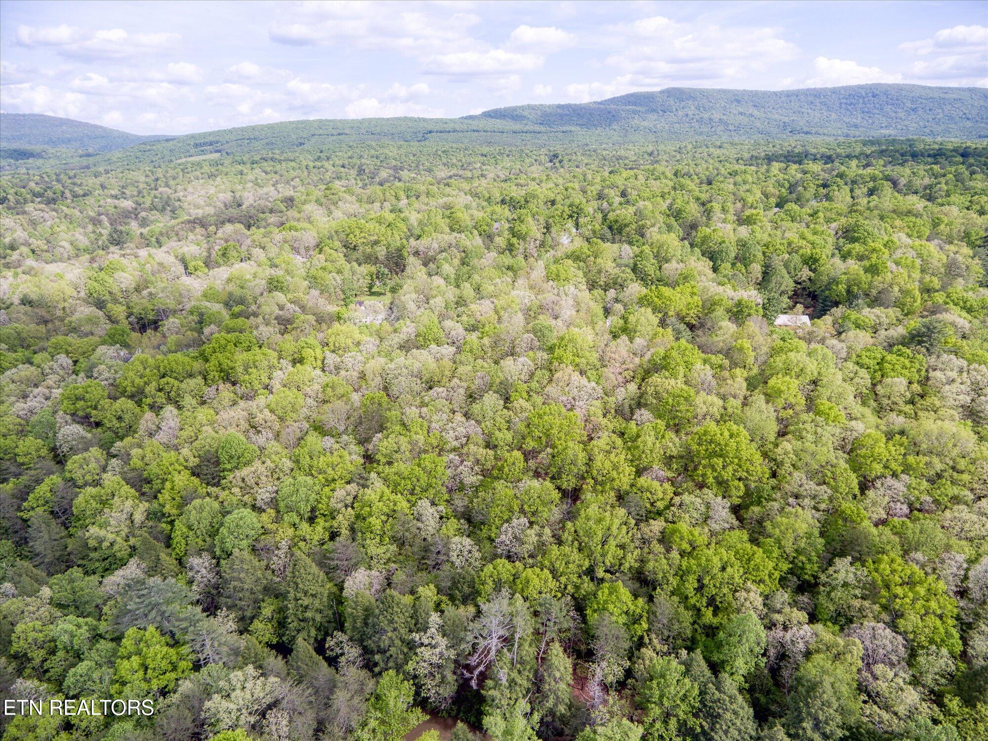 1008 Meridian Road Crossville, TN 38555 - Photo 58 of 60 60-1008 Meridian_033_TNPC