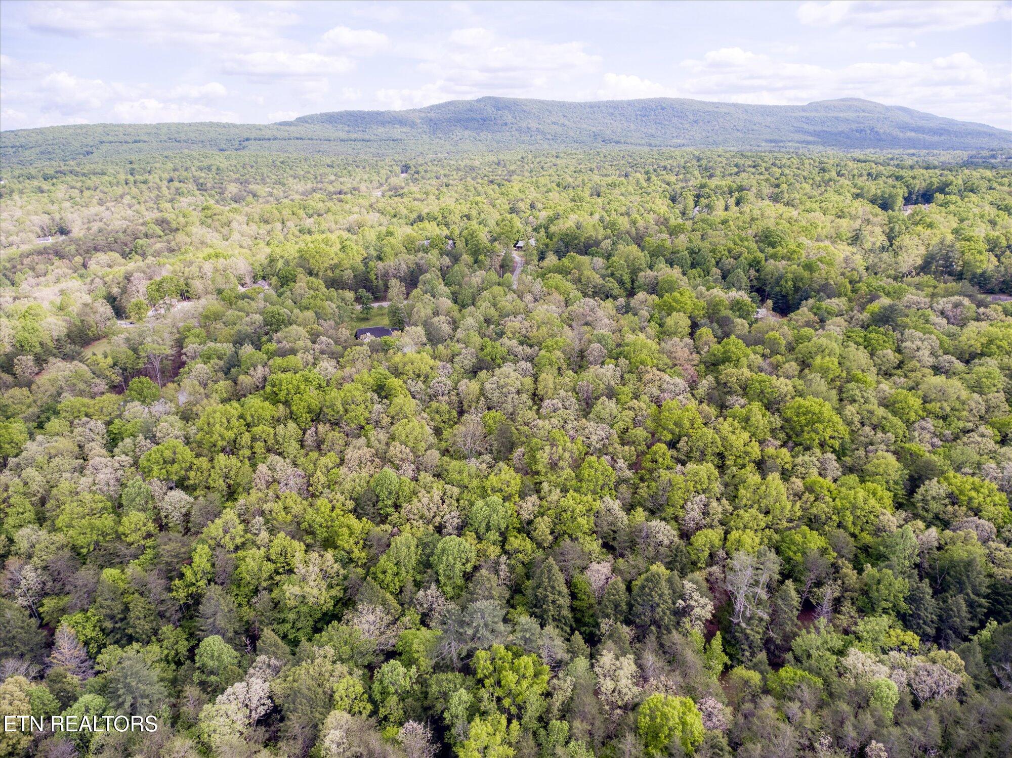 1008 Meridian Road Crossville, TN 38555 - Photo 59 of 60 61-1008 Meridian_038_TNPC