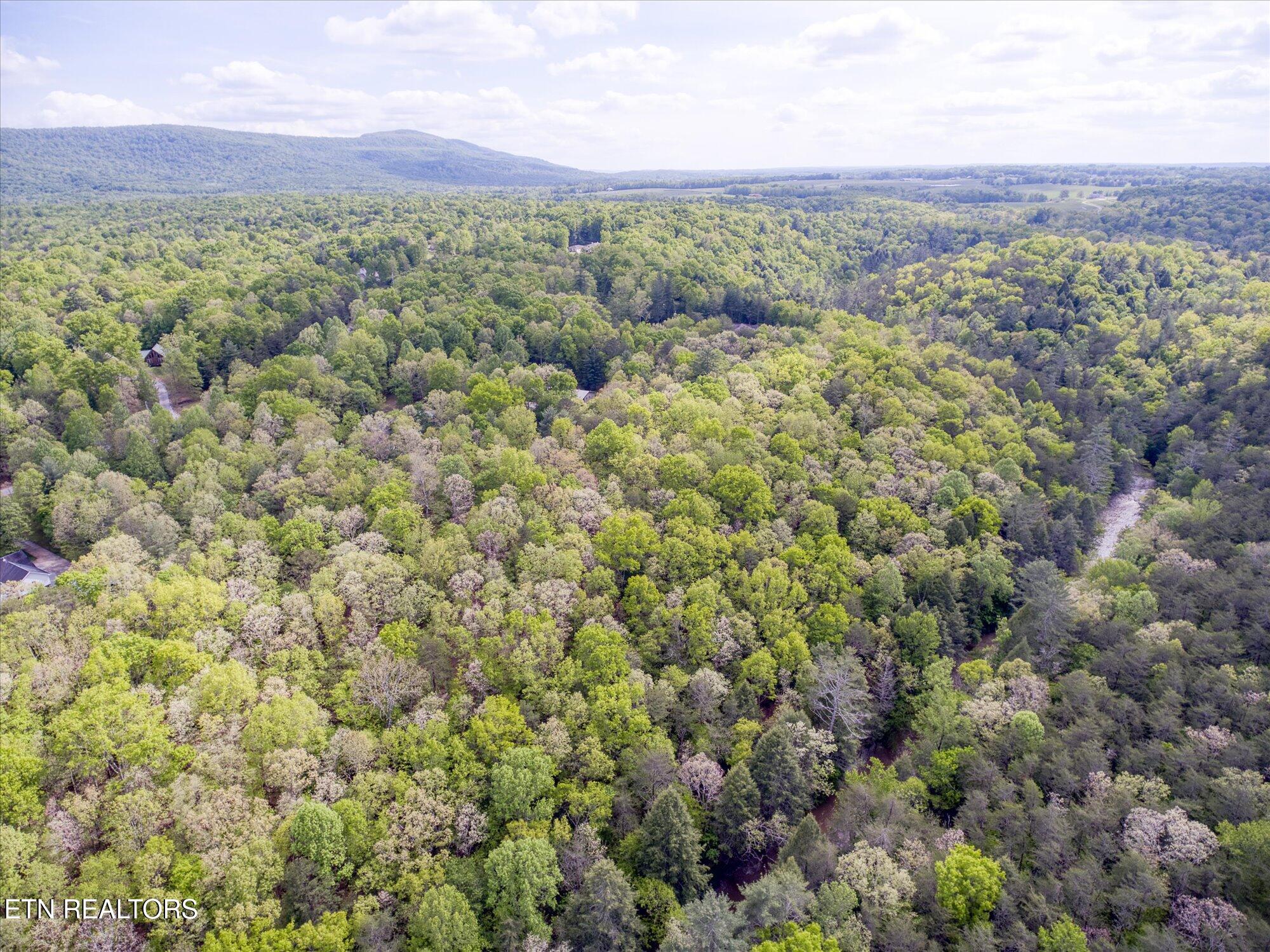 1008 Meridian Road Crossville, TN 38555 - Photo 60 of 60 62-1008 Meridian_043_TNPC