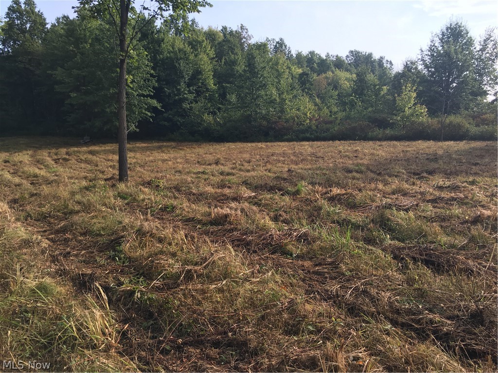 10008 Cable Line Road Newton Falls, OH 44444 - Photo 22 of 31