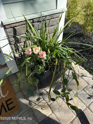 a living room with furniture and a book shelf