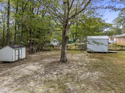 a view of a yard with a tree