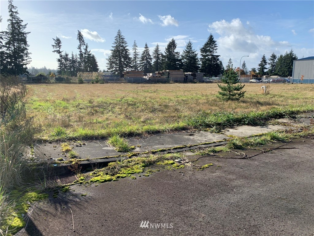 5817 192nd Avenue Southwest Rochester, WA 98579 - Photo 2 of 27 a view of an ocean beach