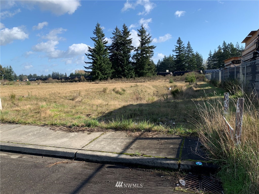 5817 192nd Avenue Southwest Rochester, WA 98579 - Photo 11 of 27 a view of a wooden street and a yard