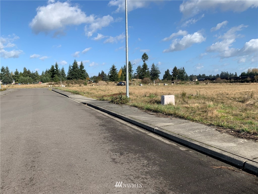 5817 192nd Avenue Southwest Rochester, WA 98579 - Photo 12 of 27 a view of a street