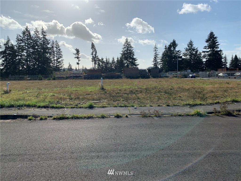 5817 192nd Avenue Southwest Rochester, WA 98579 - Photo 16 of 27 a view of a lake