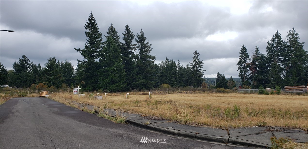 5817 192nd Avenue Southwest Rochester, WA 98579 - Photo 24 of 27 a view of a yard with trees