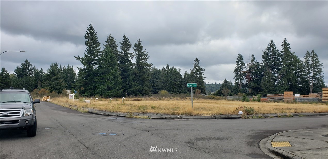 5817 192nd Avenue Southwest Rochester, WA 98579 - Photo 25 of 27 a view of a yard with fire pit