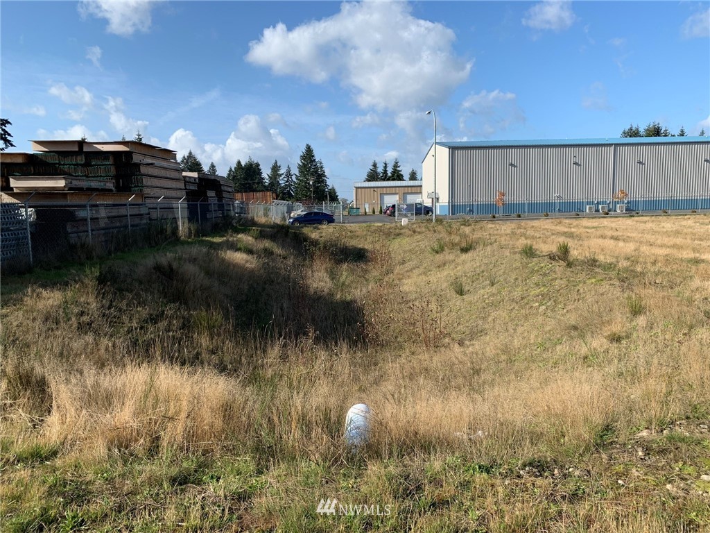5817 192nd Avenue Southwest Rochester, WA 98579 - Photo 6 of 27 a view of a yard