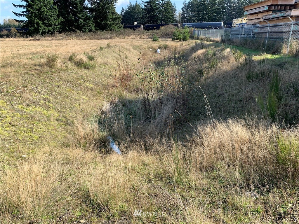 5817 192nd Avenue Southwest Rochester, WA 98579 - Photo 7 of 27 a view of backyard with outdoor space