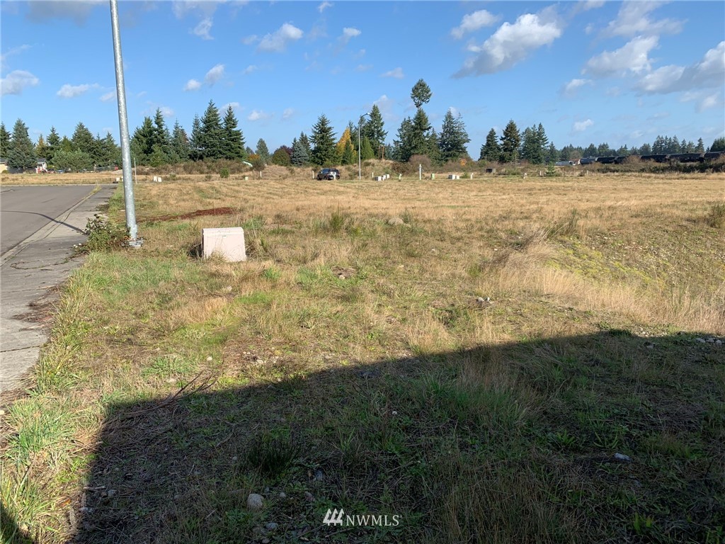 5817 192nd Avenue Southwest Rochester, WA 98579 - Photo 10 of 27