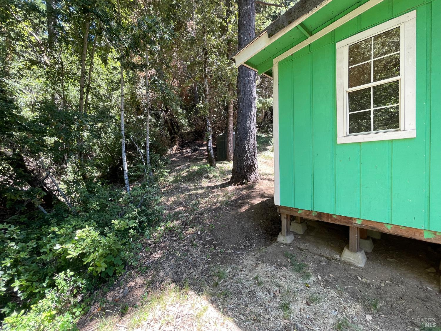 9660 Branscomb Road Laytonville, CA 95454 - Photo 11 of 33 a backyard of a house with lots of green space