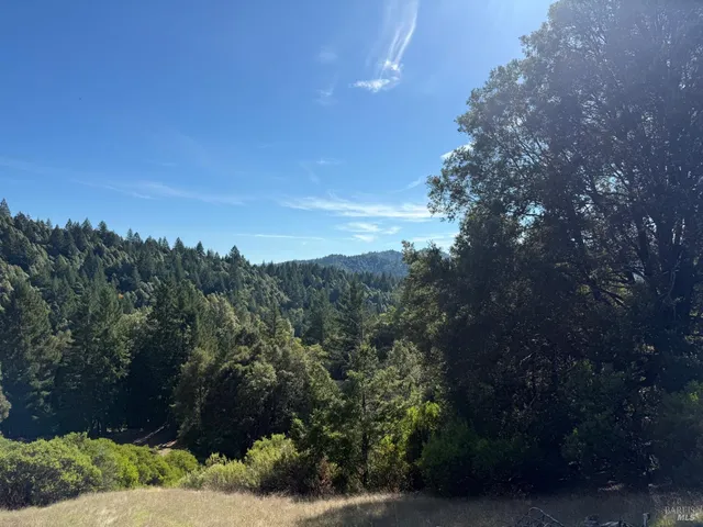 a view of a yard with wooden fence