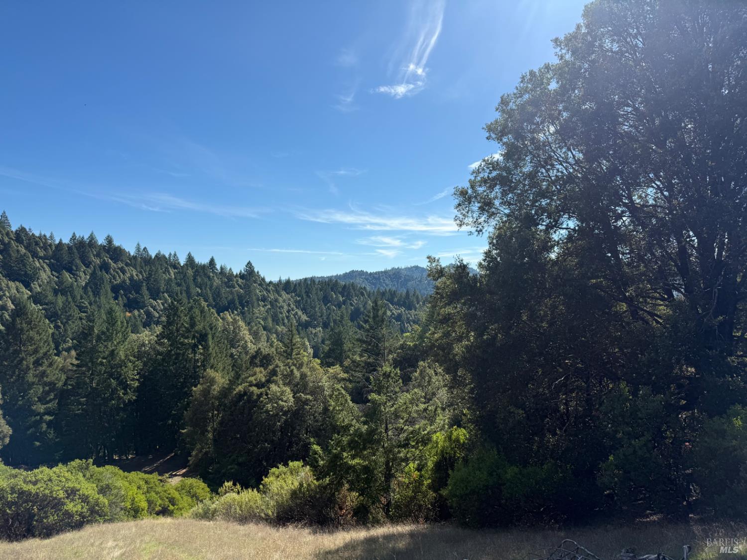 9660 Branscomb Road Laytonville, CA 95454 - Photo 16 of 33 a view of a city with lush green forest