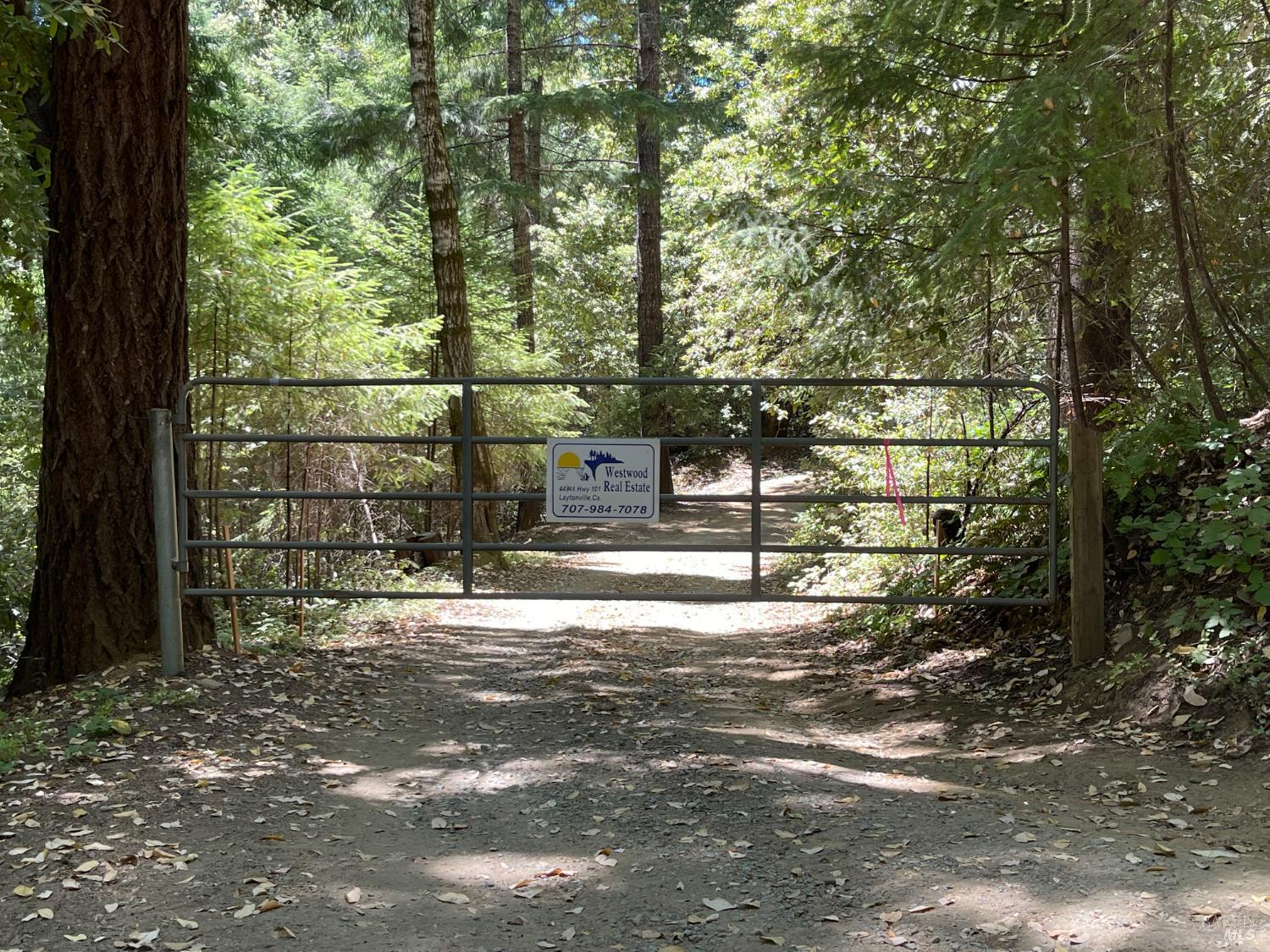 9660 Branscomb Road Laytonville, CA 95454 - Photo 17 of 33 a view of a yard with wooden fence