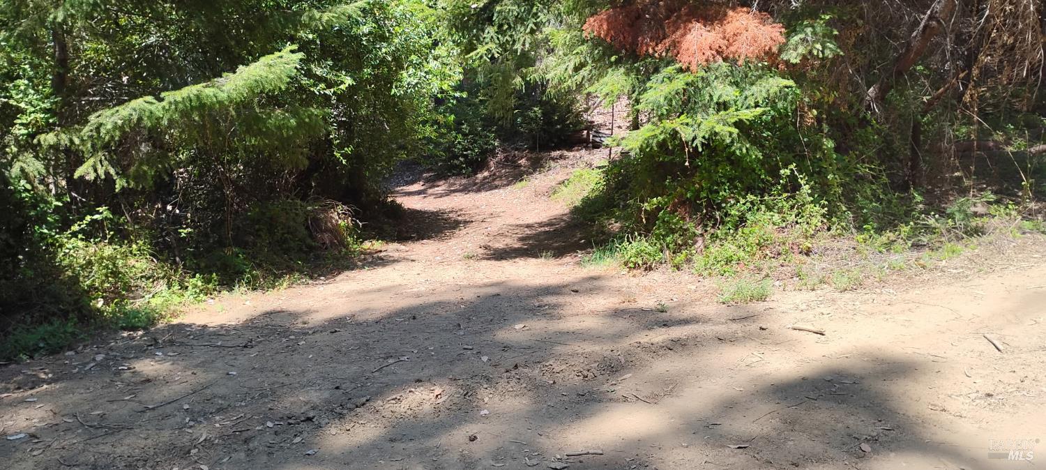 9660 Branscomb Road Laytonville, CA 95454 - Photo 25 of 33 a view of a road with a trees