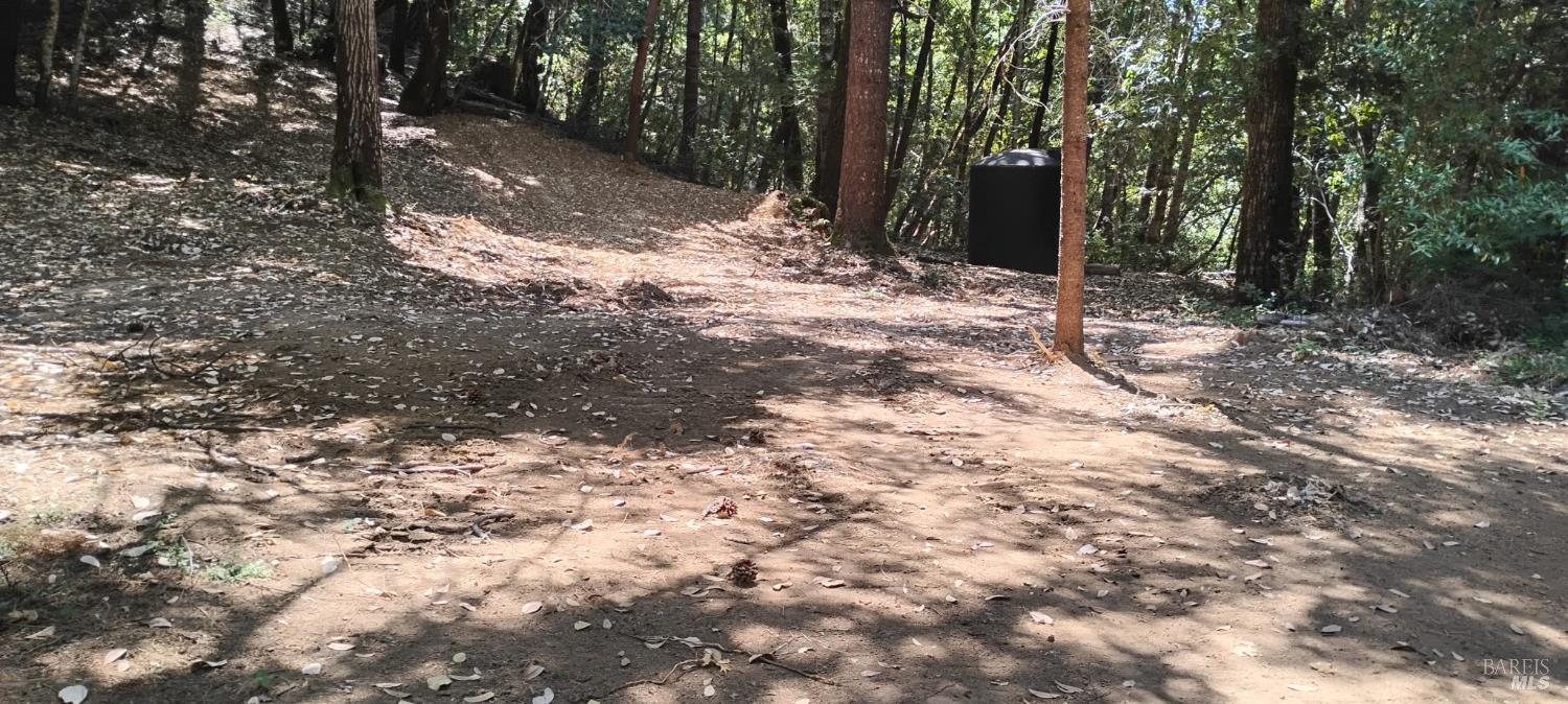 9660 Branscomb Road Laytonville, CA 95454 - Photo 26 of 33 a view of a yard with trees