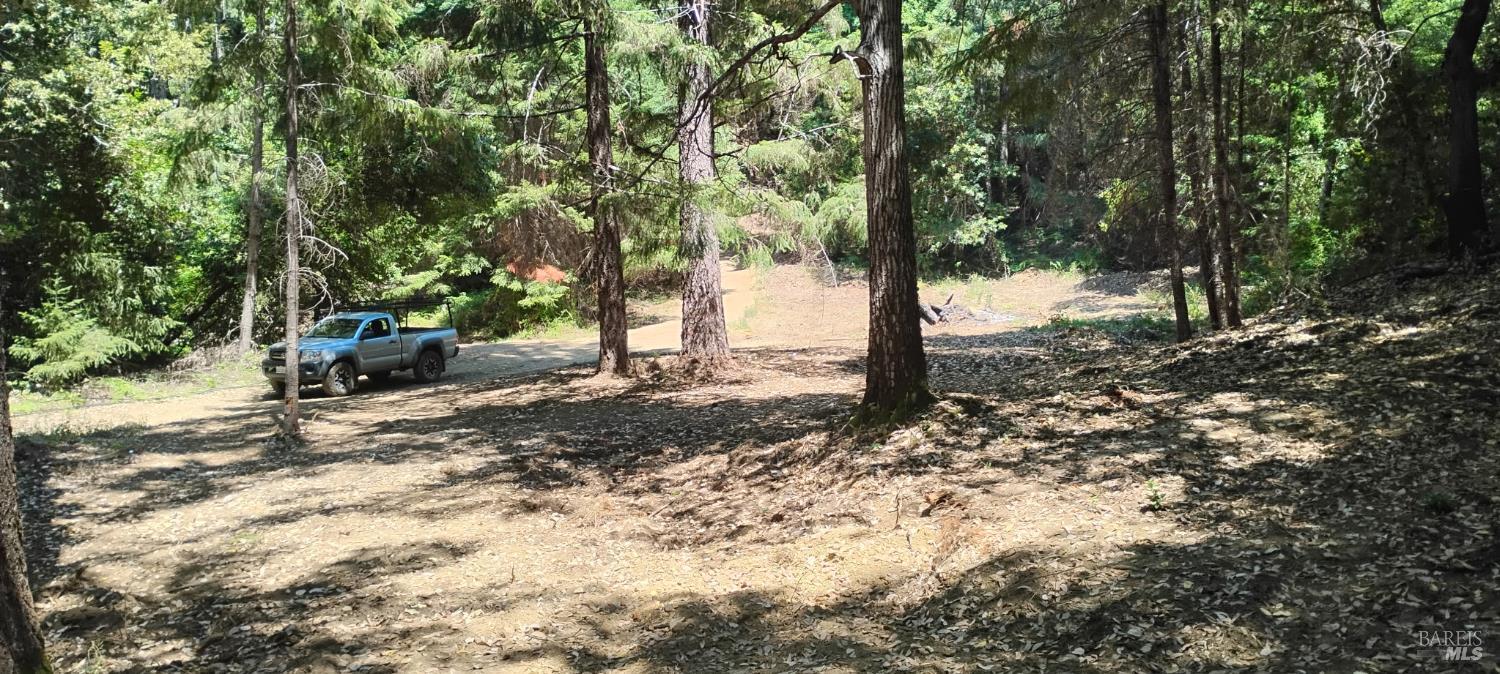 9660 Branscomb Road Laytonville, CA 95454 - Photo 27 of 33 a view of a tree in the middle of a yard