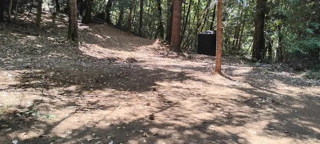 a view of a yard with trees