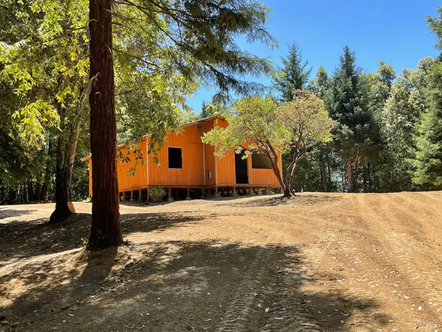 a view of a yard with plants and trees
