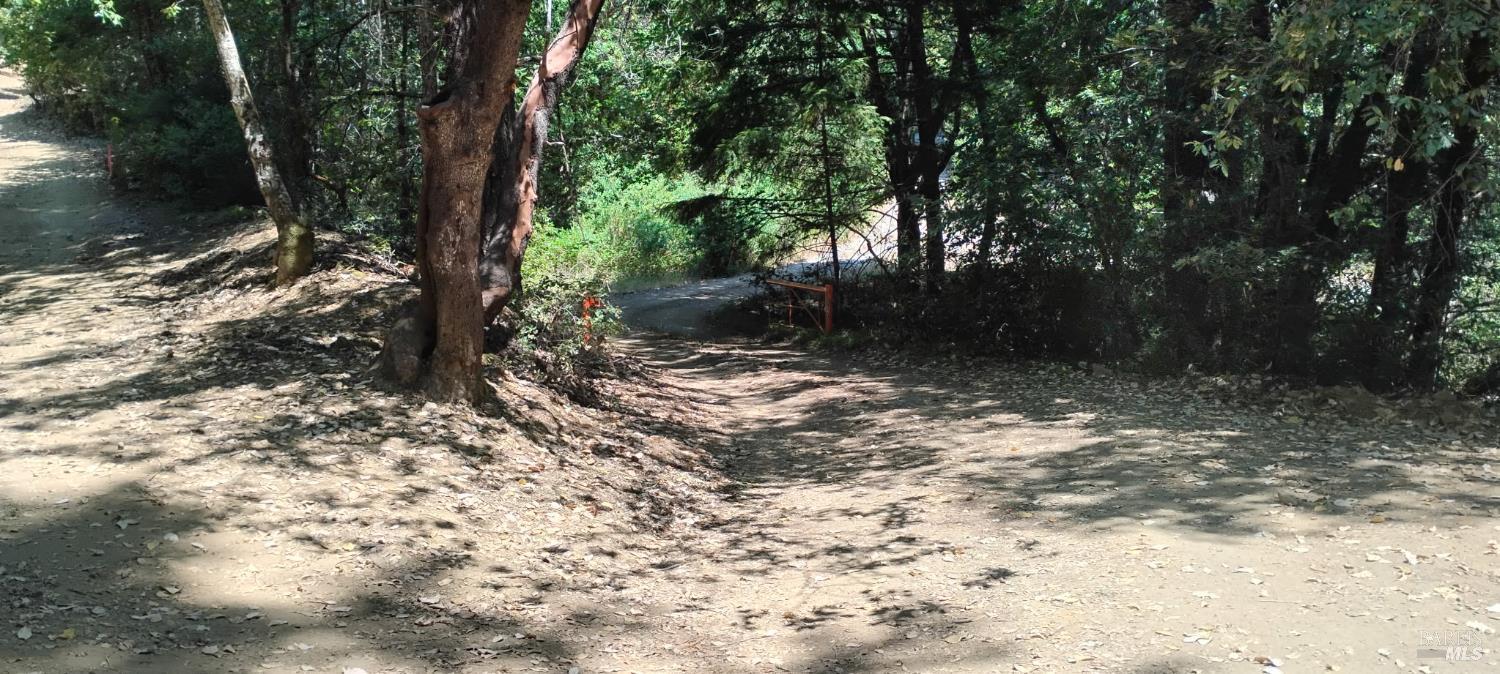 9660 Branscomb Road Laytonville, CA 95454 - Photo 31 of 33 a view of a tree in a yard