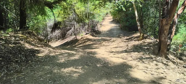 $239,000 | 9660 Branscomb Road, Laytonville, CA 95454