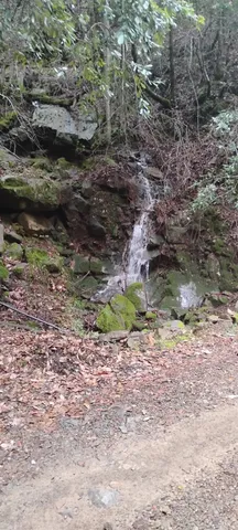 $239,000 | 9660 Branscomb Road, Laytonville, CA 95454