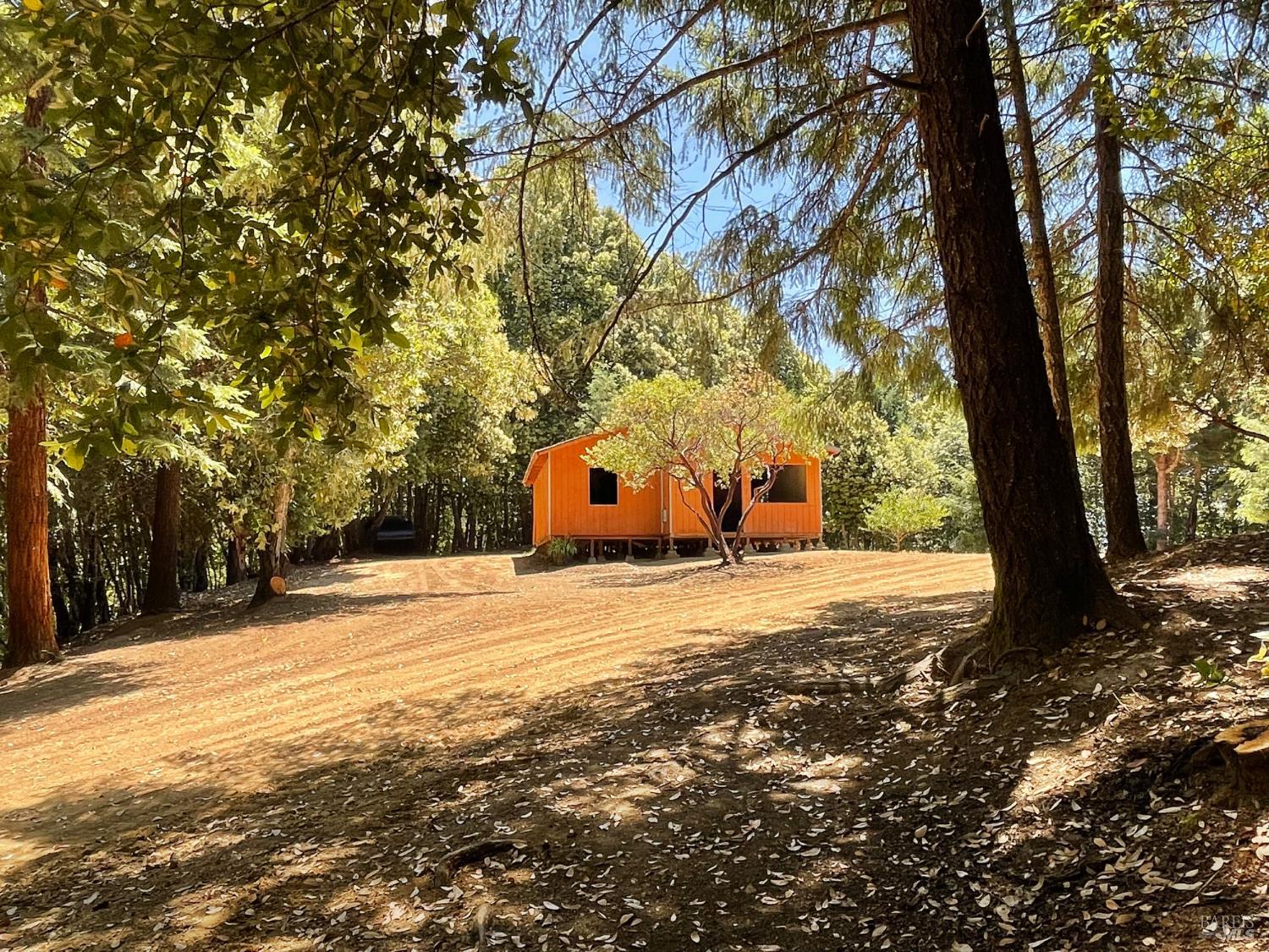 9660 Branscomb Road Laytonville, CA 95454 - Photo 5 of 33 a large tree in front of a house