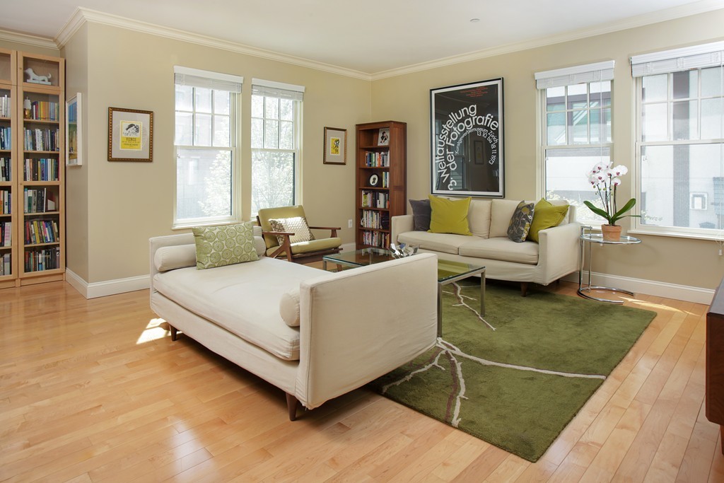 111 Crowninshield Road, Unit 111 Brookline, MA 02446 - Photo 3 of 11 Gallery Image 3