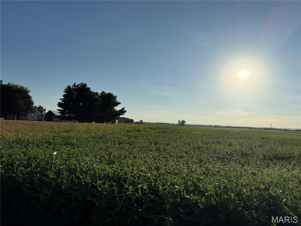 0 Bluff Road Valmeyer, IL 62295 - Photo 14 of 16 Gallery Image 14