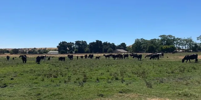 $389,900 | 0 Morrison Road, Oakdale, CA 95361