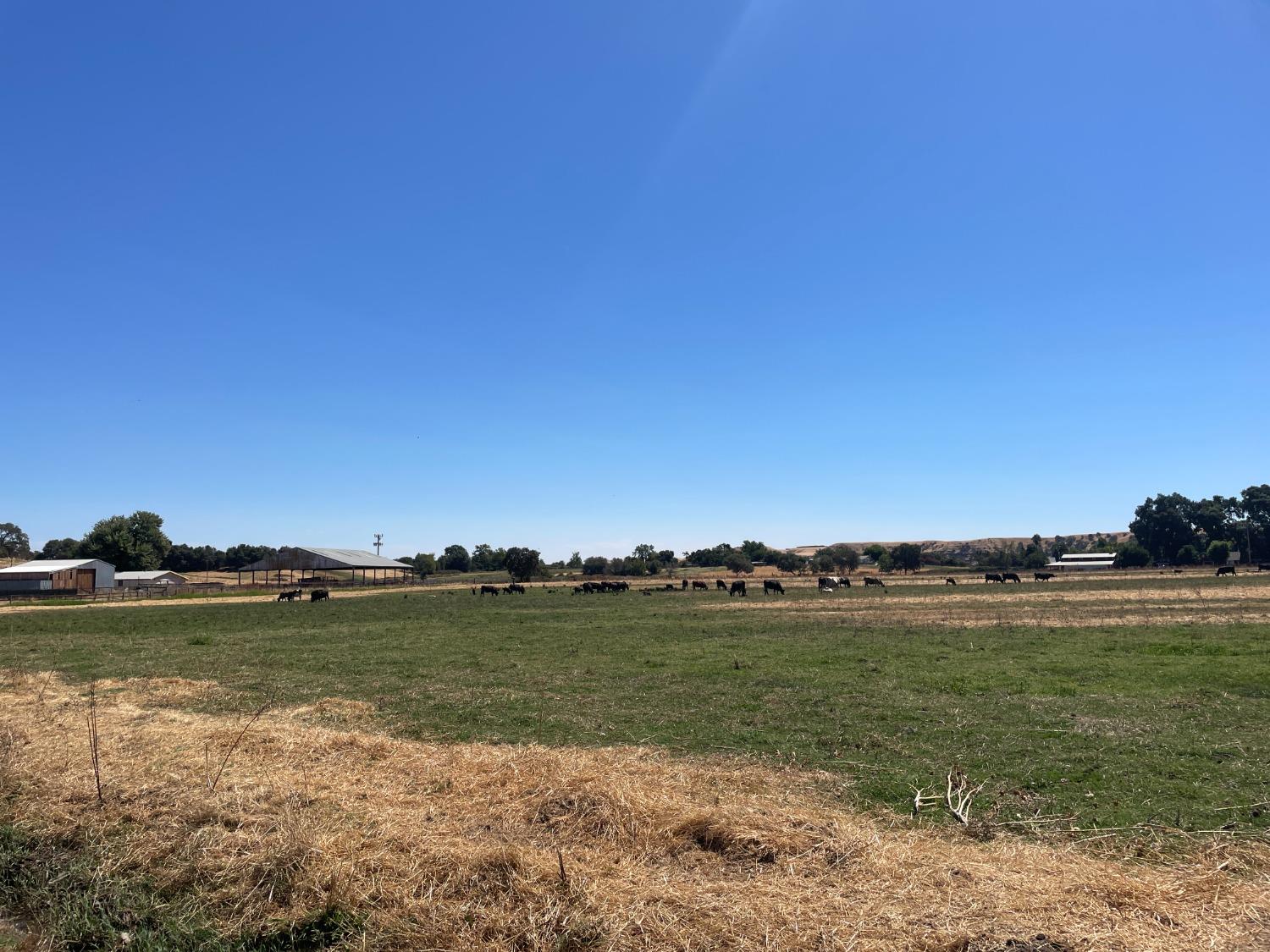 0 Morrison Road Oakdale, CA 95361 - Photo 3 of 4