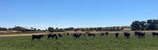 $389,900 | 0 Morrison Road, Oakdale, CA 95361