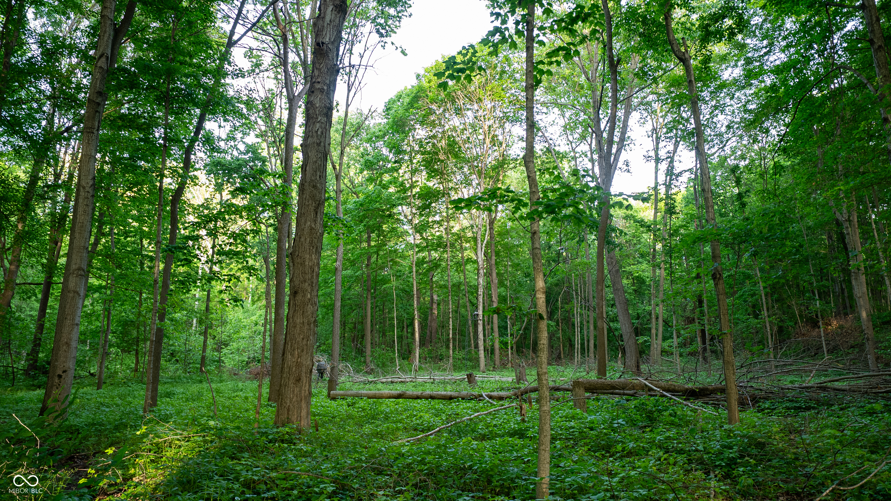 910 South 800 E Road Zionsville, IN 46075 - Photo 99 of 109