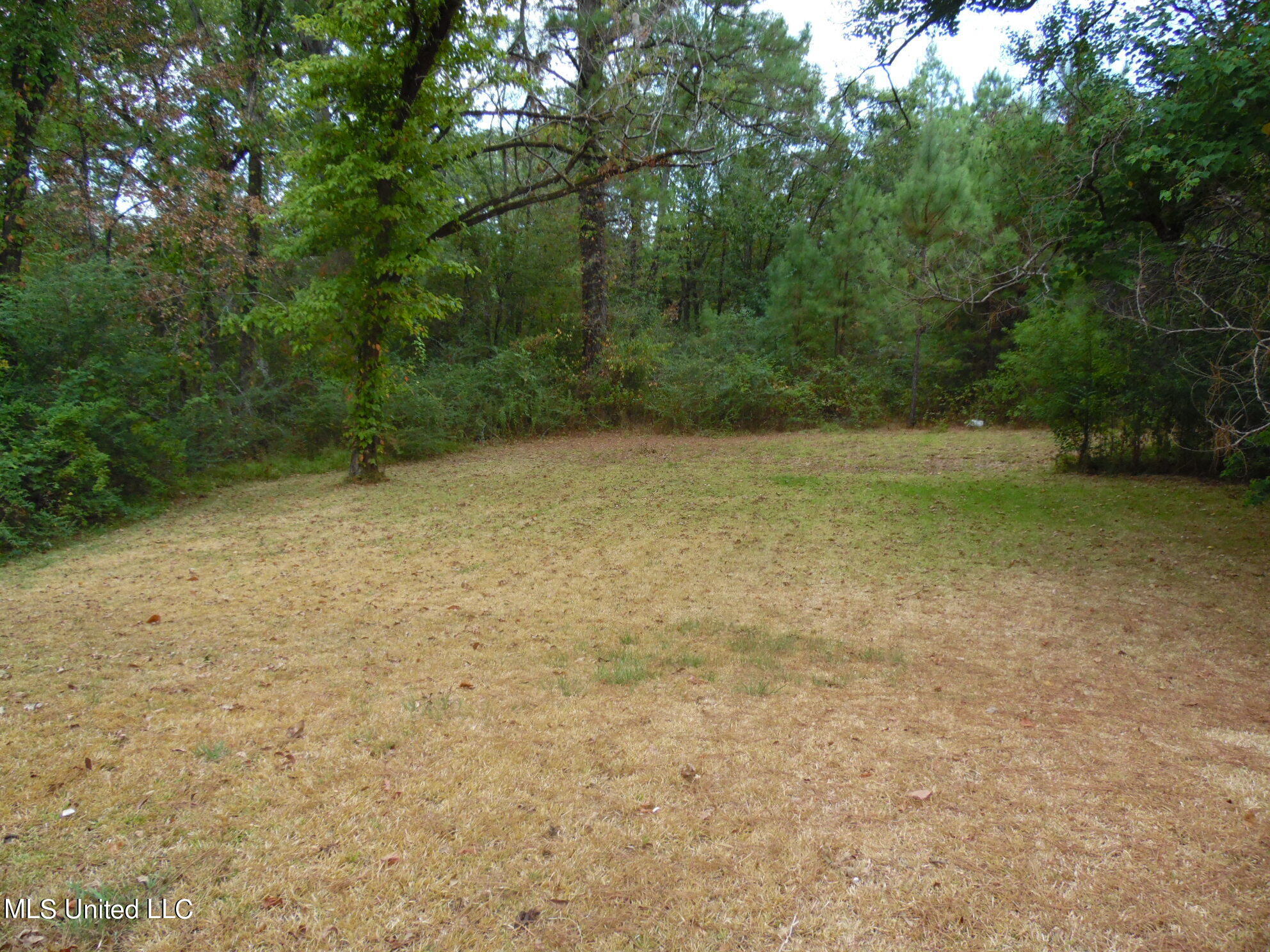 2313 Hickory Drive Jackson, MS 39204 - Photo 13 of 13 SAM_0014