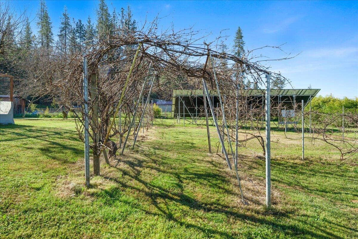 649 Pleasant Valley Road Merlin, OR 97532 - Photo 17 of 57 a view of a garden